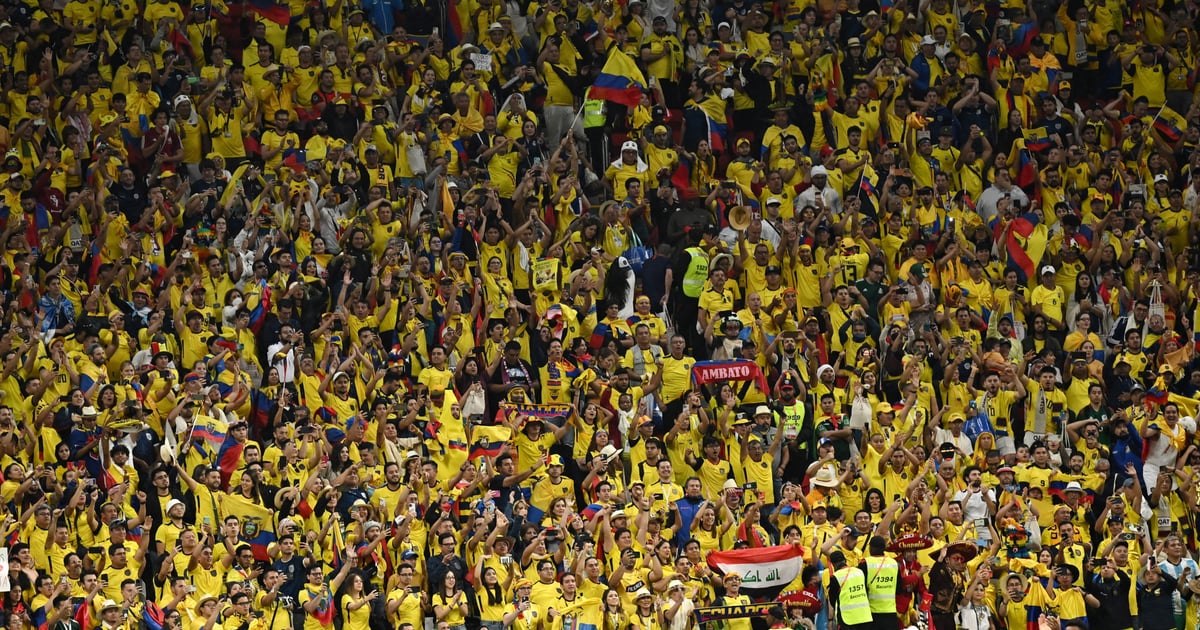 Fifa oppretter sak mot ecuadorianske fans etter åpningskampen i VM - TV 2