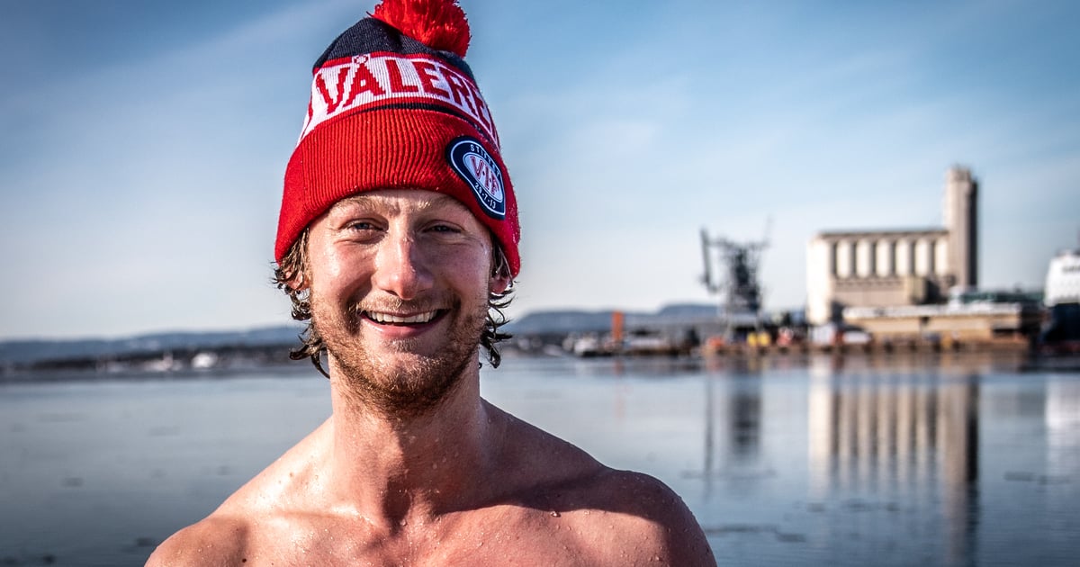 Qichitqi ot mushuk jinsiy aloqa video