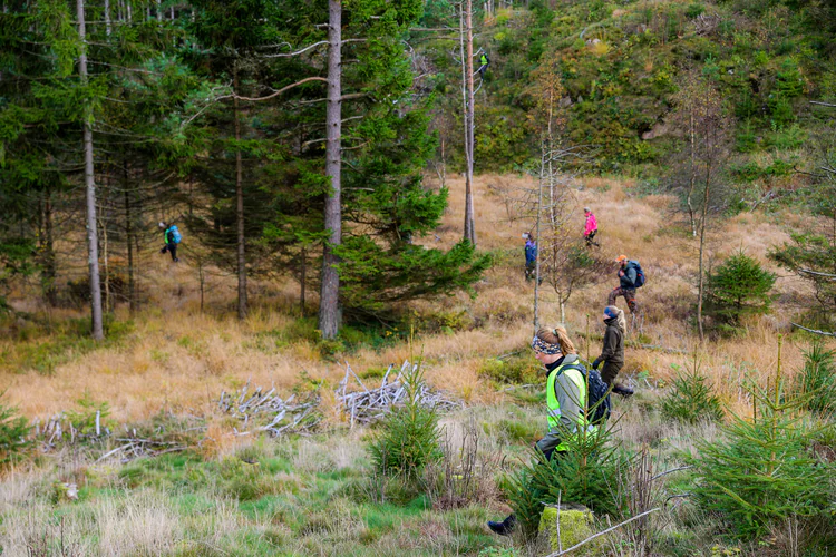 7-åringen som forsvant ble funnet under en steinhelle - TV 2
