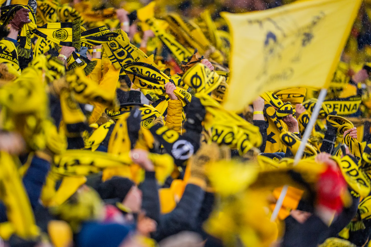 Bodø/Glimt tar sikkerhetsgrep Ingen billetter solgt til borteseksjonen mot Maccabi Tel Aviv TV 2