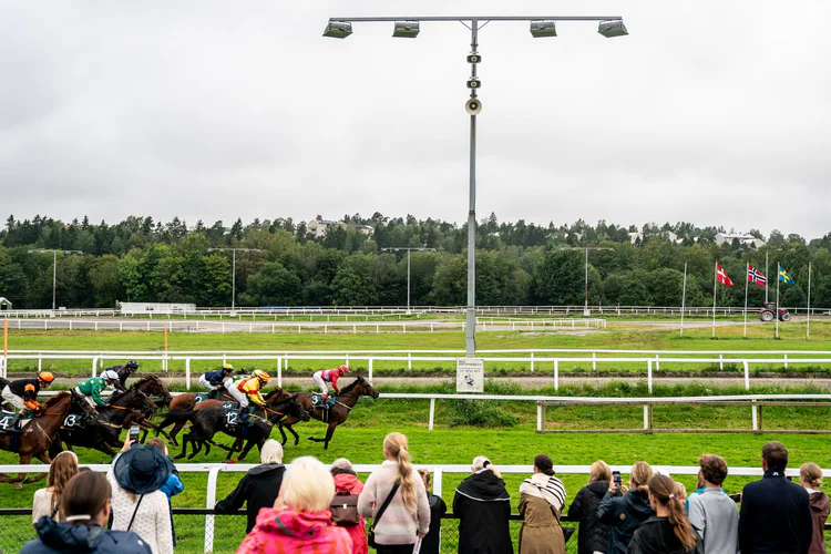 Hest D de I L p P vrevoll Akutt Hjertestans TV 2 hest-d-de-i-l-p-p-vrevoll-akutt-hjertestans-tv-2